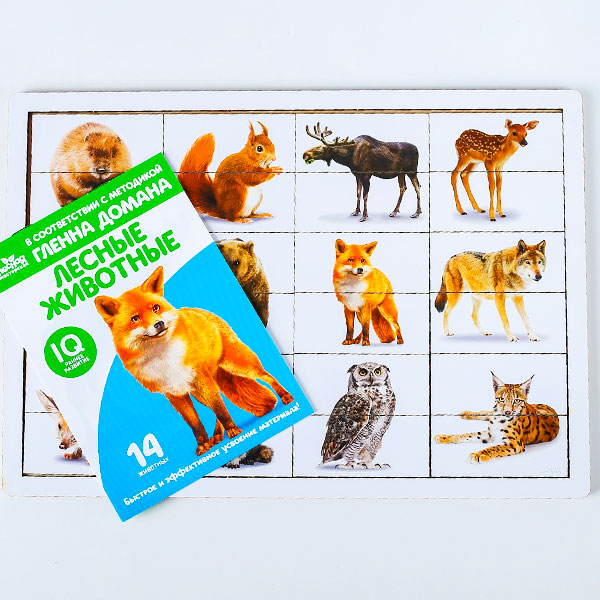 Лесные животные - головоломка по методике домана Лесная мастерская 4276129