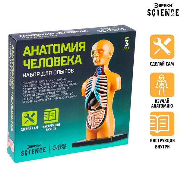 Анатомия человека - научный опыт Эврики 3690720