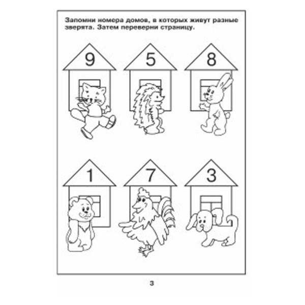 Посмотри и запомни - учебное пособие Бурдина из серии Папка дошкольника Д-618