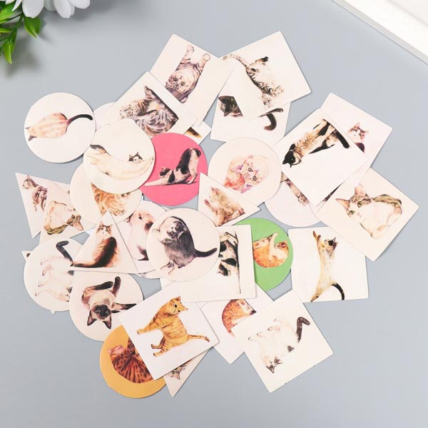 Котейки - набор наклеек в коробочке Школа талантов 9294210