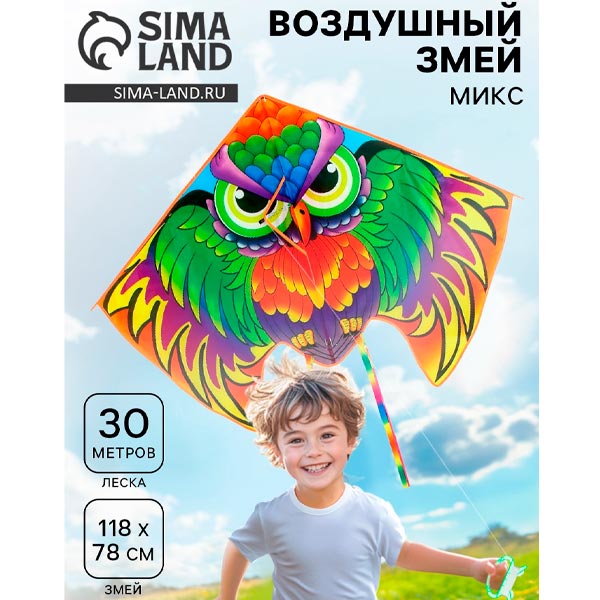 Сова - воздушный змей с леской Играй с умом 10067736